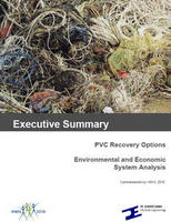 Document_pvc-recovery-options-executive-summary_large